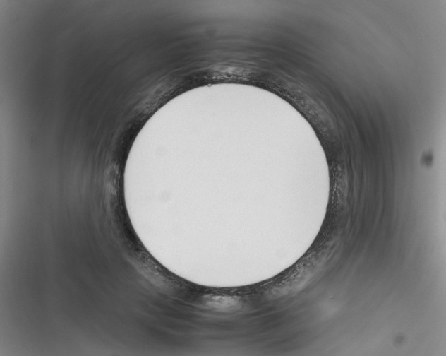 X0000116350649201001131107