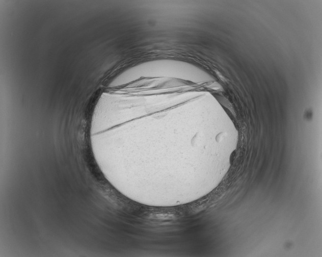 X0000116350650201001131107