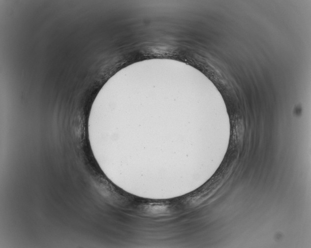 X0000116350651201001131107