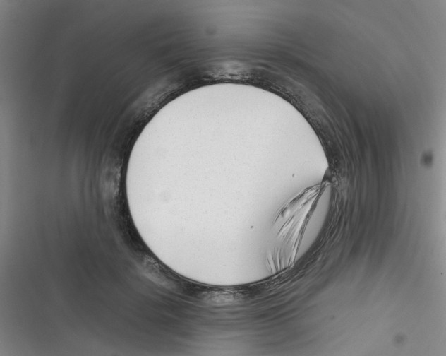 X0000116350652201001131107