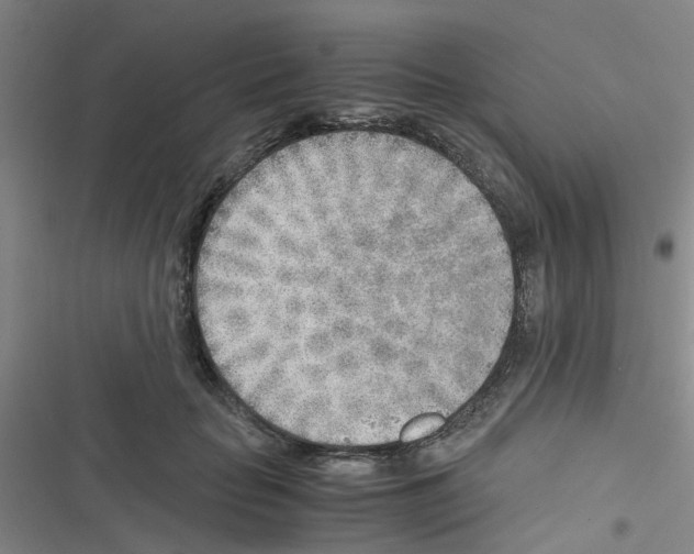 X0000116350653201001131107