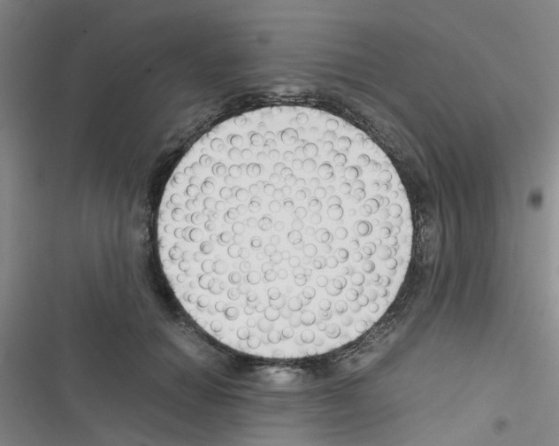 X0000116350654201001131107