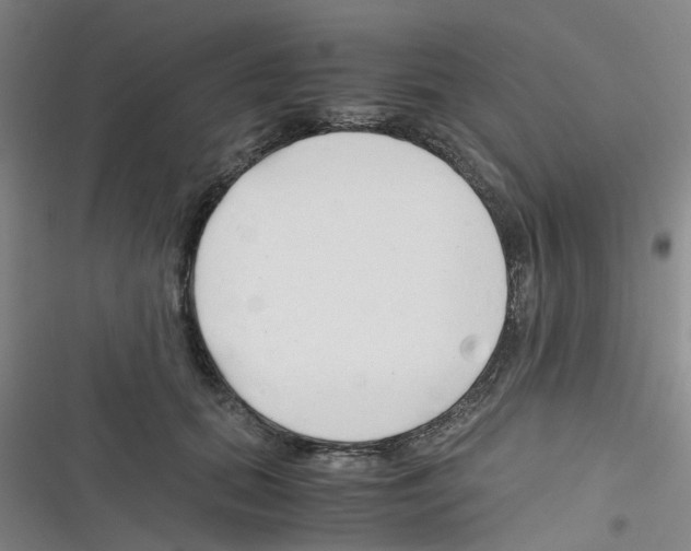 X0000116350655201001131107