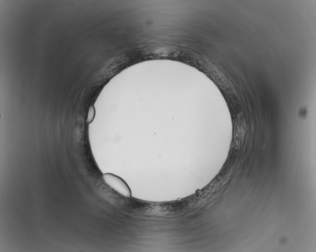 X0000116350656201001131107