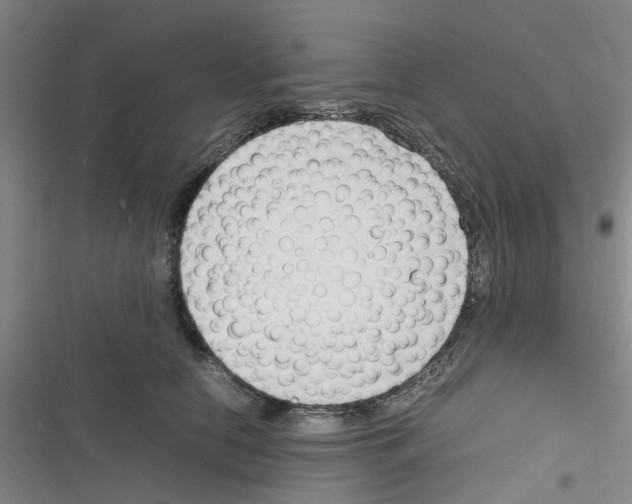 X0000116350658201001131107