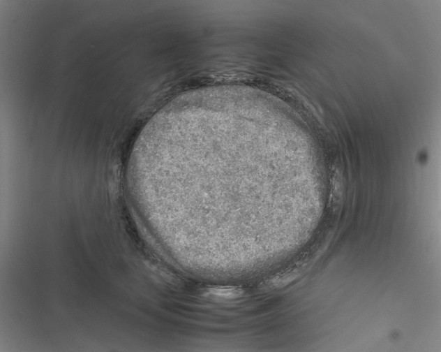 X0000116350659201001131107