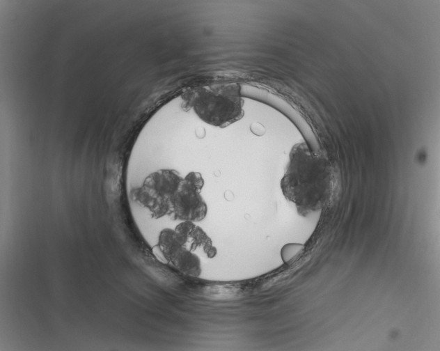 X0000116350660201001131107