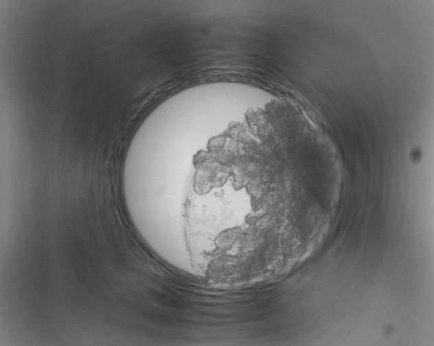 X0000116350661201001131107