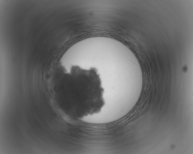 X0000116350662201001131107
