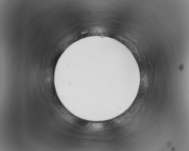 X0000116350665201001131107