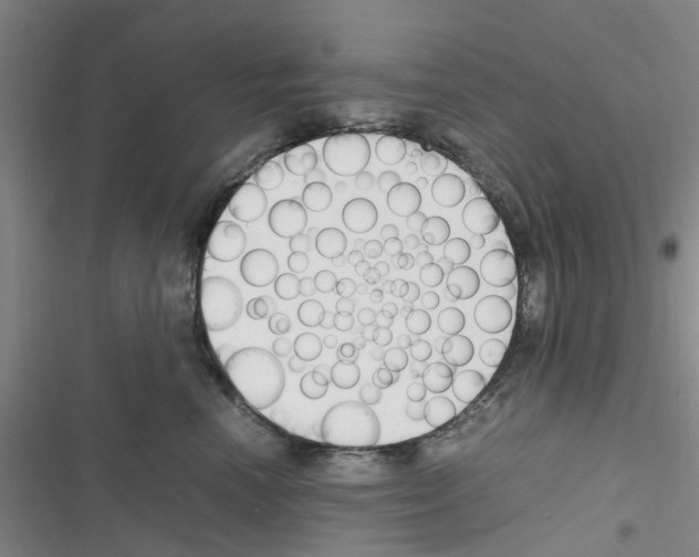 X0000116350666201001131107