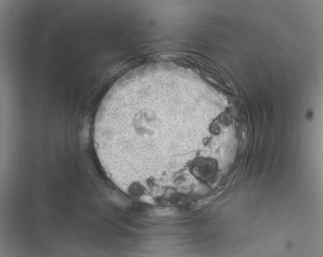 X0000116350668201001131107