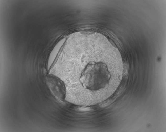 X0000116350669201001131107