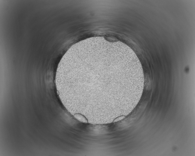 X0000116350670201001131107