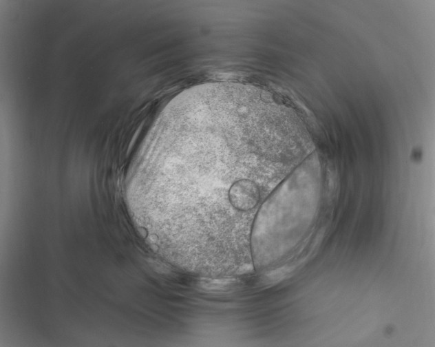 X0000116350671201001131107