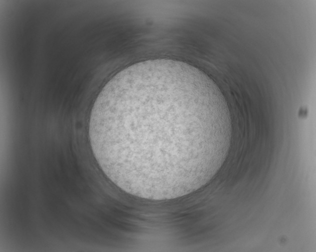 X0000116350672201001131107