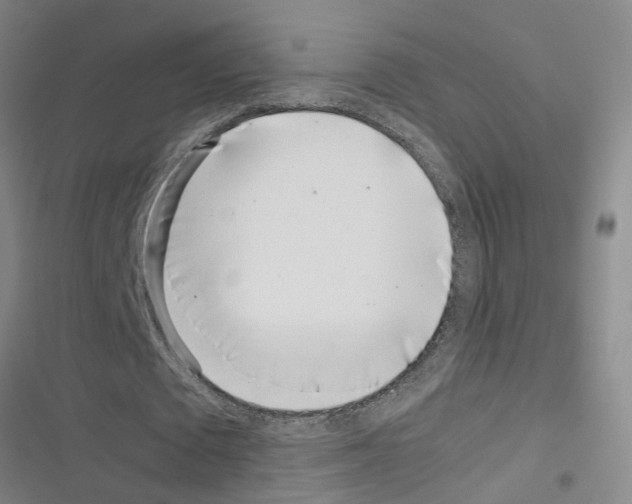 X0000116350673201001131107