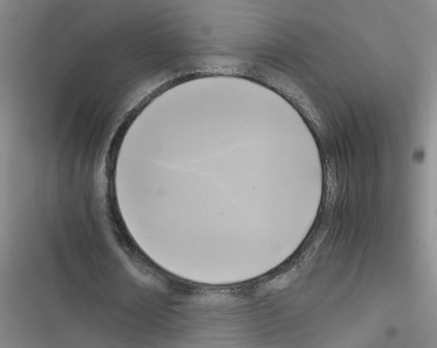 X0000116350674201001131107