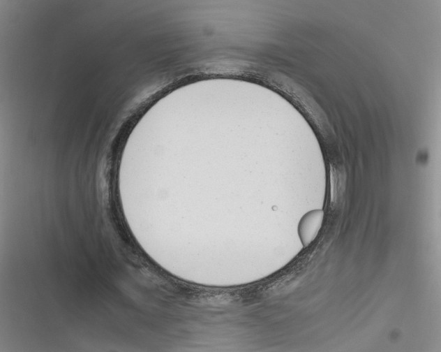 X0000116350675201001131107