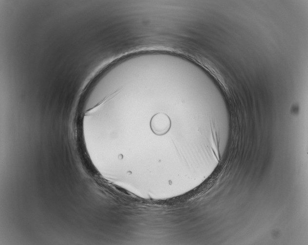 X0000116350676201001131107