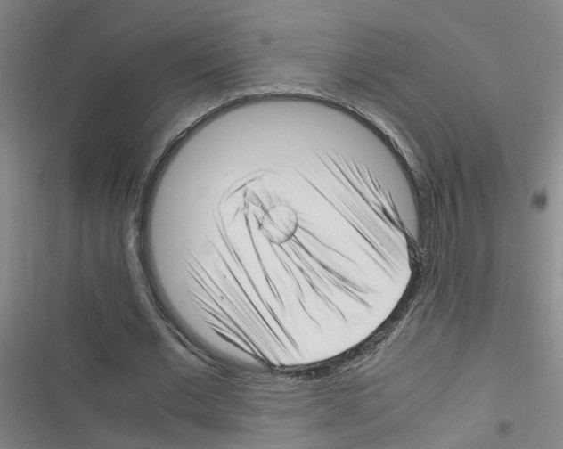 X0000116350677201001131107