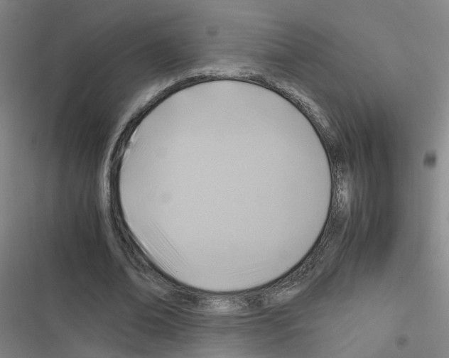 X0000116350678201001131107