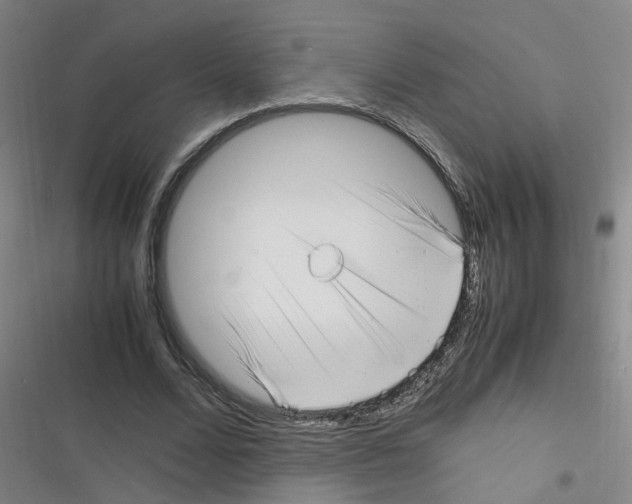 X0000116350680201001131107
