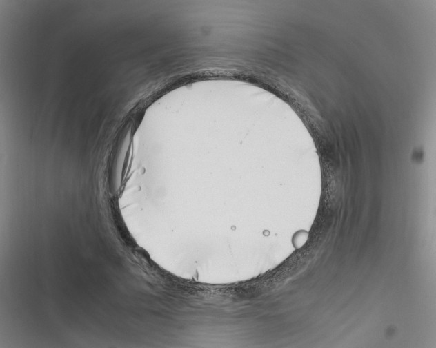 X0000116350681201001131107