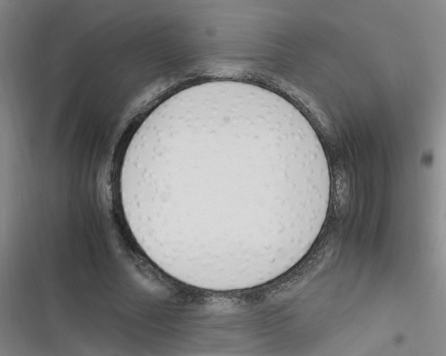 X0000116350682201001131107