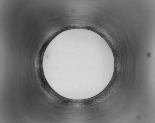 X0000116350683201001131107