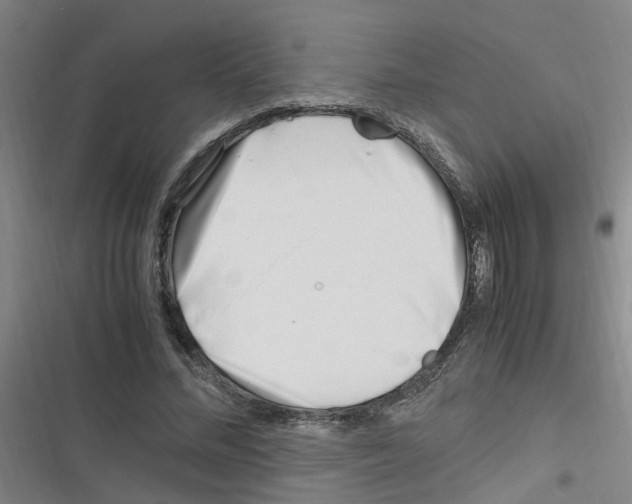 X0000116350684201001131106