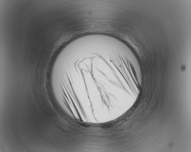 X0000116350685201001131106