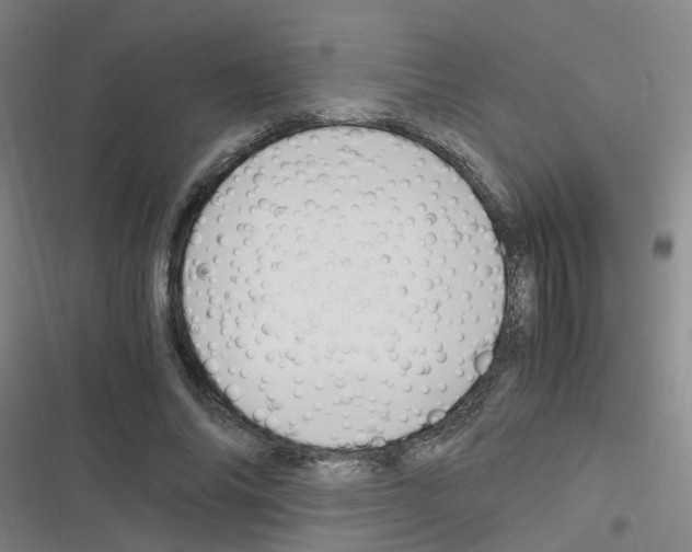 X0000116350686201001131106