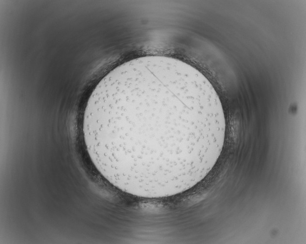 X0000116350690201001131106