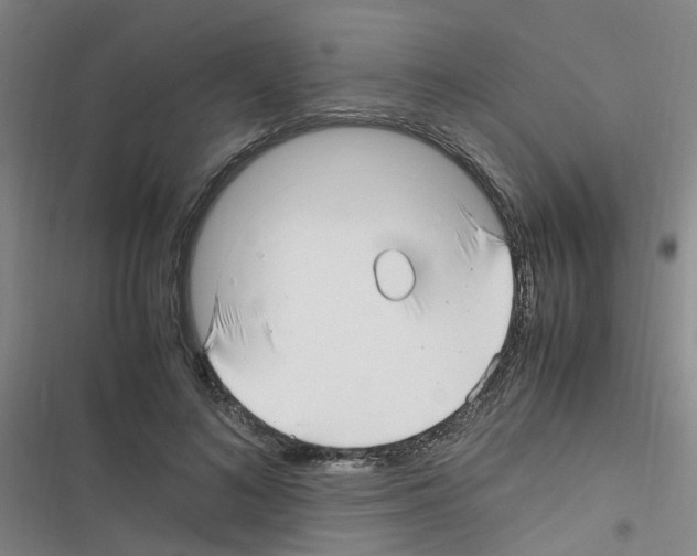 X0000116350692201001131106