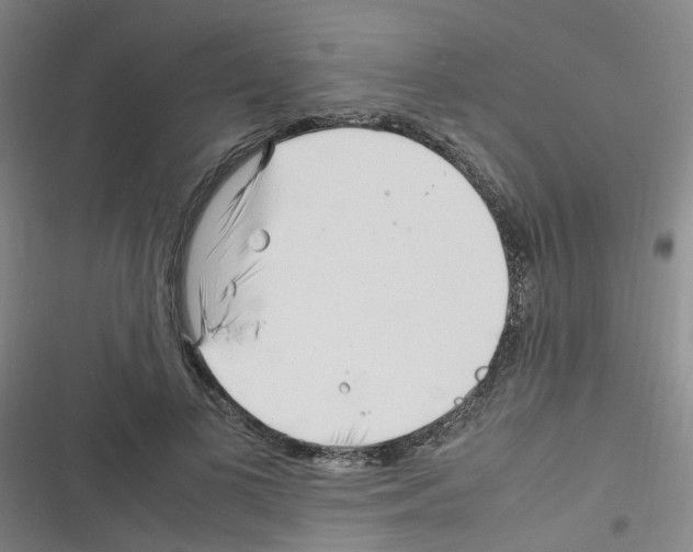 X0000116350693201001131106