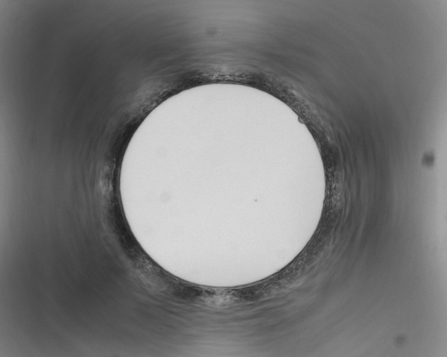 X0000116350695201001131106
