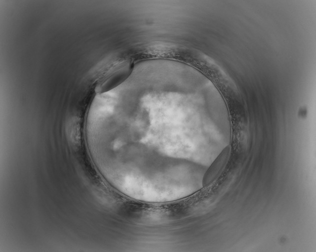 X0000116350696201001131106