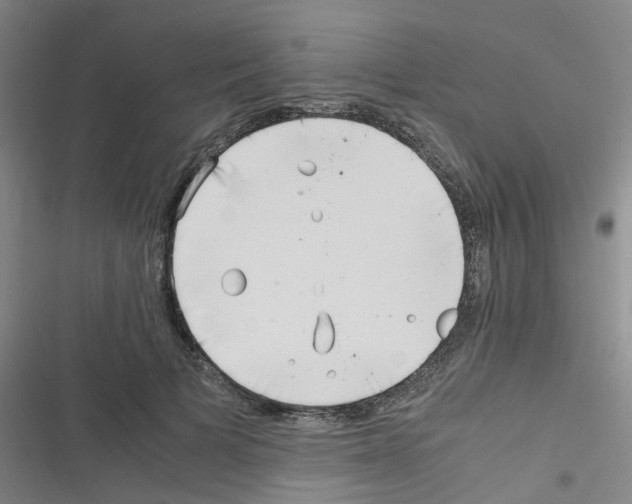 X0000116350697201001131106