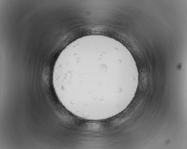 X0000116350698201001131106