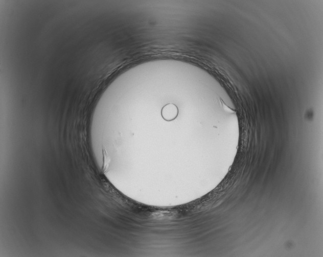X0000116350700201001131106
