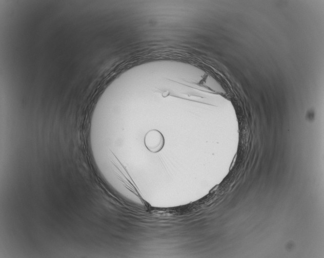 X0000116350701201001131106
