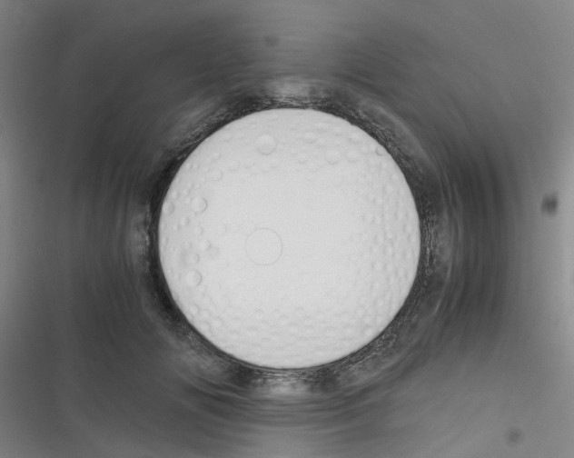 X0000116350702201001131106