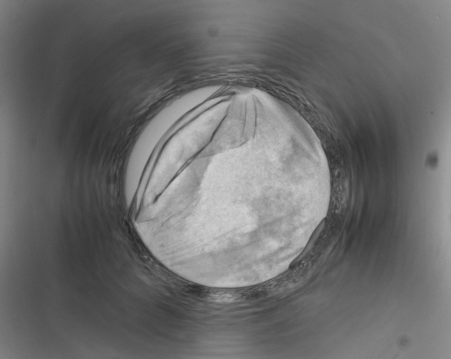X0000116350704201001131106