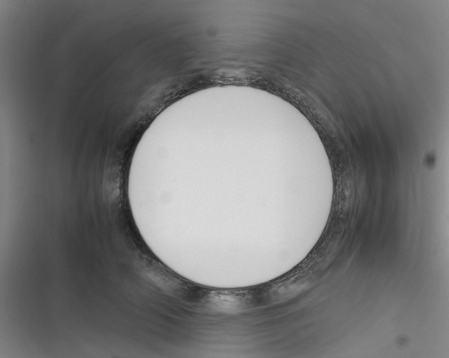 X0000116350706201001131106