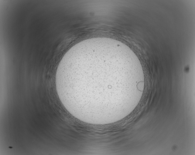 X0000116350709201001131106