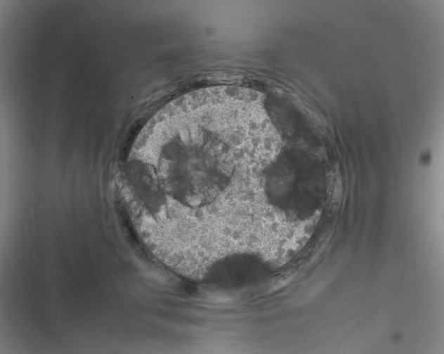 X0000116350711201001131106