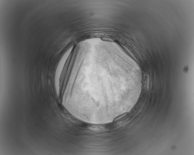 X0000116350712201001131106