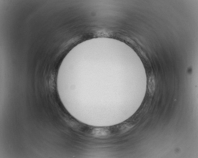X0000116350714201001131106