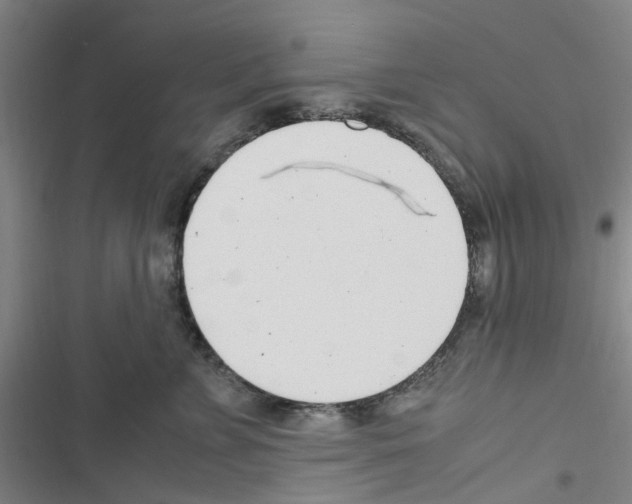 X0000116350715201001131106